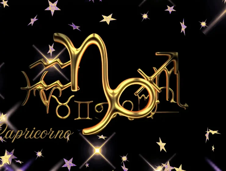 Capricorno segno zodiacale